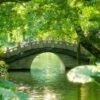 Chengdu: Private City Walking Tour with Food and Culture Stops