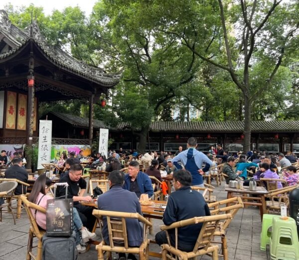 Chengdu: Private Electric Vehicle Museum Tour with Sichuan Food/Tea