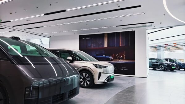 Chengdu: Private Electric Vehicle Museum Tour with Sichuan Food/Tea
