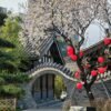 Chengdu: Private Electric Vehicle Museum Tour with Sichuan Food/Tea