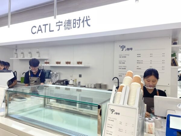 Chengdu: Private Electric Vehicle Museum Tour with Sichuan Food/Tea