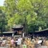 Chengdu: Private Electric Vehicle Museum Tour with Sichuan Food/Tea