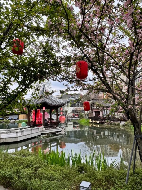 Chengdu: Private Electric Vehicle Museum Tour with Sichuan Food/Tea