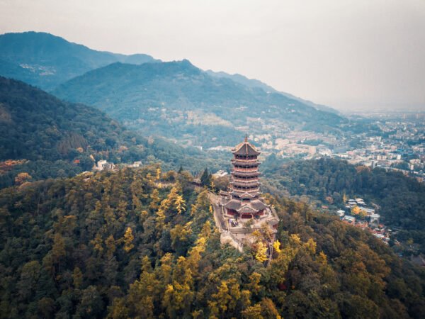 Chengdu: Private Dujiangyan Panda Base & Irrigation System Day Tour