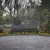 Chengdu: Private Dujiangyan Panda Base & Irrigation System Day Tour