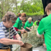 Chengdu Private Tour: Wolong Panda Base Volunteer Experience with Lunch