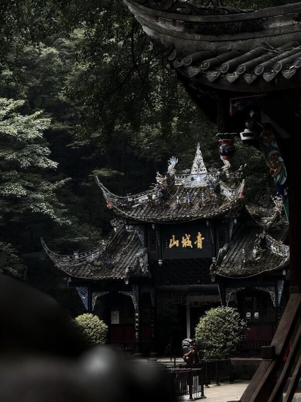 1 Chengdu Private Tour: Dujiangyan Panda Valley & Mount Qingcheng
