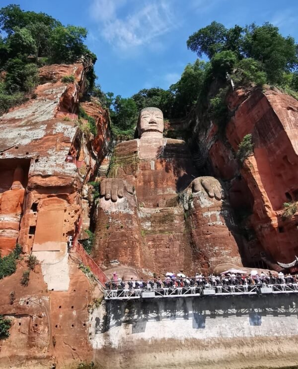 Chengdu Private Tour:Chengdu Panda Base & Leshan Giant Buddha