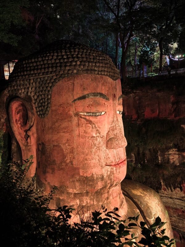 Chengdu Private Tour:Chengdu Panda Base & Leshan Giant Buddha
