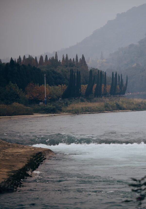 Chengdu Private Tour: Mount Qingcheng & Dujiangyan Irrigation System