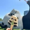 Chengdu Private Tour: Dujiangyan Panda Valley, Irrigation System & Guanxian Old Town