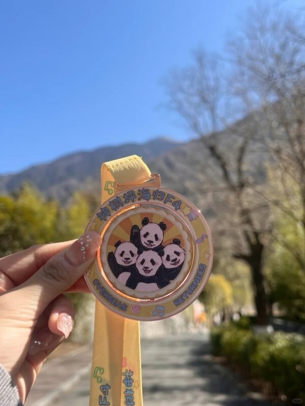 Chengdu Private Tour: Wolong Panda Base Day Trip