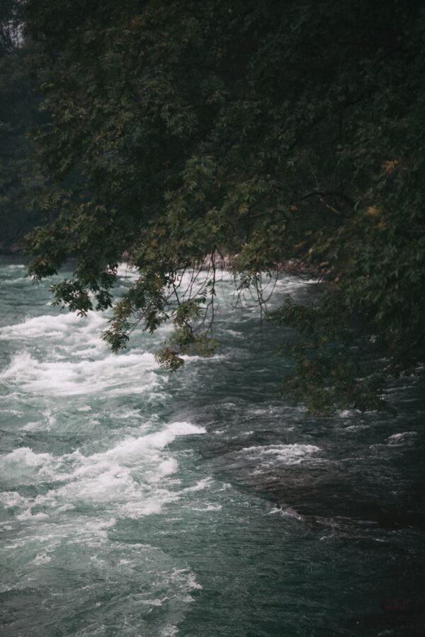Chengdu Private Tour: Mount Qingcheng & Dujiangyan Irrigation System