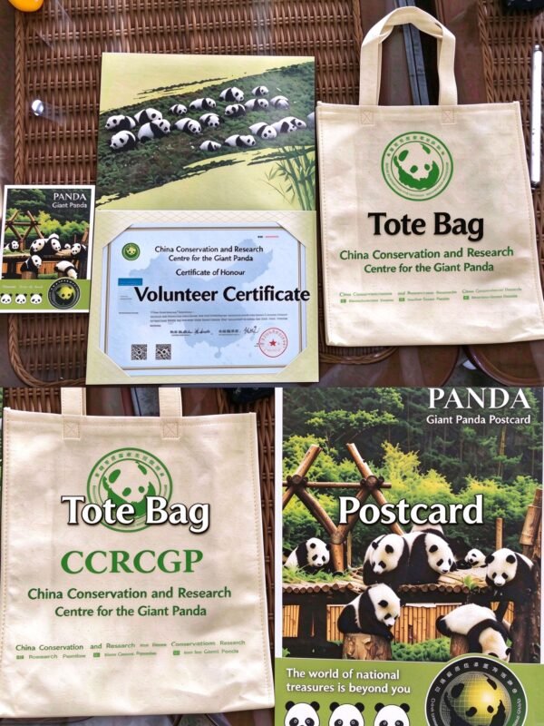 Chengdu Private Tour: Wolong Panda Base Volunteer Experience with Lunch