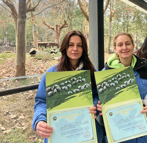 Chengdu Private Tour: Wolong Panda Base Volunteer Experience with Lunch