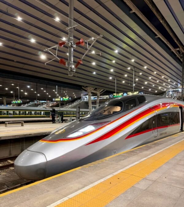 chongqing6 Chengdu → Chongqing High‑Speed Train Private Day Tour & City Walk