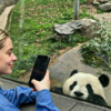 Chengdu Private Tour: Wolong Panda Base Volunteer Experience with Lunch