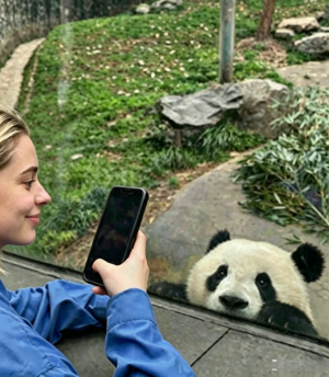 Chengdu Private Tour: Wolong Panda Base Volunteer Experience with Lunch