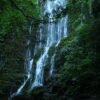 Chengdu Private Tour: Mount Qingcheng Day Trip
