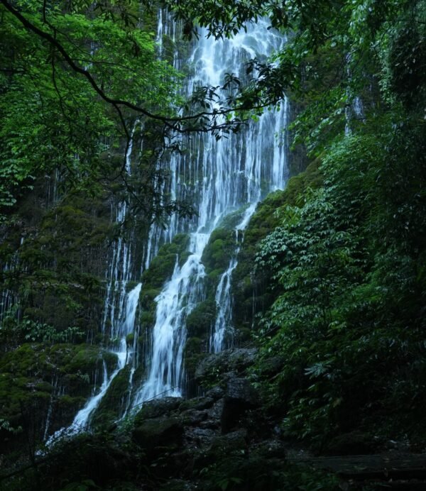 Chengdu Private Tour: Mount Qingcheng Day Trip