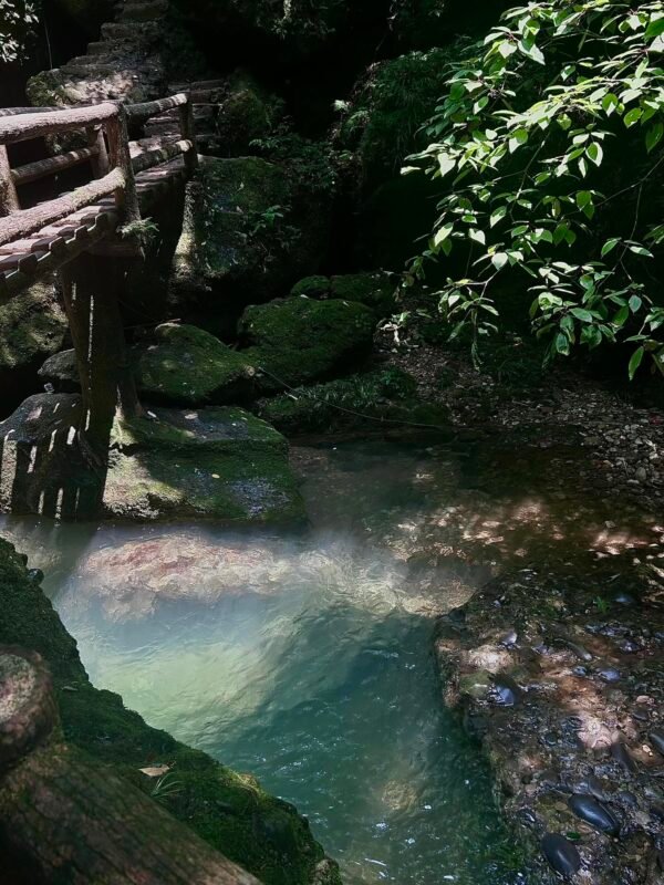 Chengdu Private Tour: Mount Qingcheng Day Trip