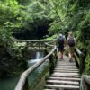 Chengdu Private Tour: Mount Qingcheng Day Trip