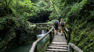 Chengdu Private Tour: Mount Qingcheng & Dujiangyan Irrigation System