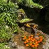 Chengdu Private Tour: Mount Qingcheng Day Trip