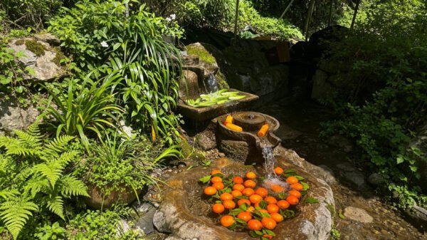 Chengdu Private Tour: Mount Qingcheng Day Trip